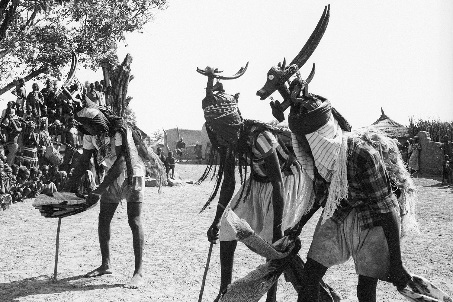 Bamana masqueraders with chi wara headdress Bamako region, Mali Photograph by Eliot Elisofon, 1971